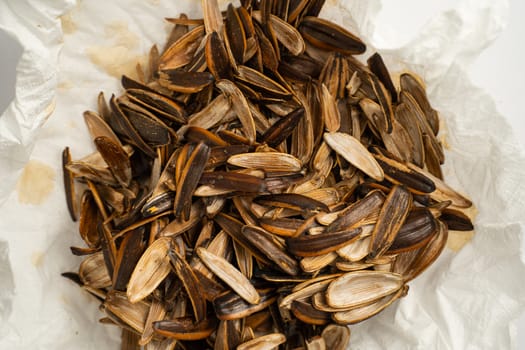 The Sunflower seed shells. Background empty Sunflower seed shells