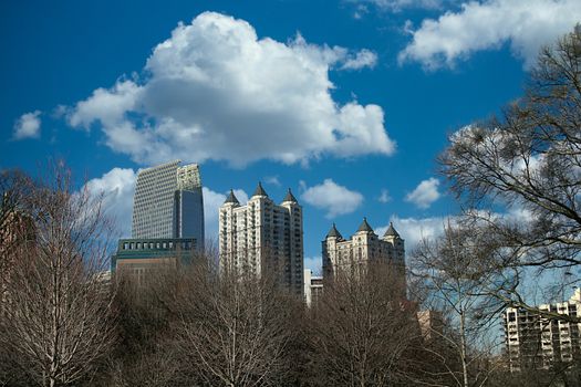 Atlanta towers rising from trees in a city park