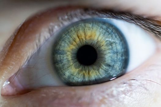 Woman eye closeup. Macro photo of human eye. Eye is sharp and hue.