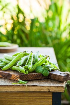Green peas in pods on a wooden table in the garden at sunset light