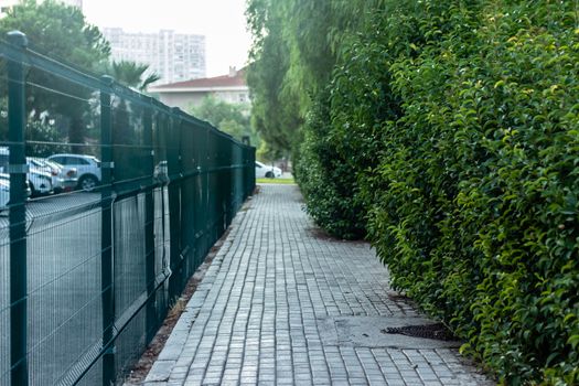 a cityscape shoot from a narrow area at walkway with pastel colored trees - there is fences and cars. photo has taken at izmir/turkey.