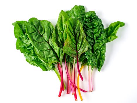 Bunch of swiss chard leafves isolated on white background. Fresh swiss rainbow chard with yellow, red and green colors, top view or flat lay