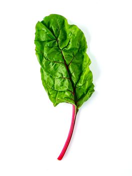 One swiss chard leaf isolated on white background. Fresh swiss rainbow chard with yellow and green colors, top view or flat lay