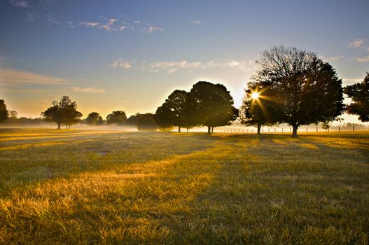 Sunrise over field with light fog.