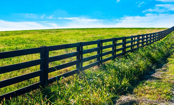 Black Fence with field and blue sky.