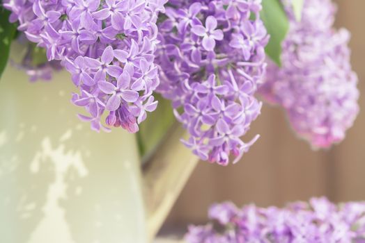 Lilac branches hanging from a vase in the shape of a watering can on a wooden wall background.