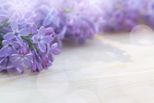 Beautiful floral blank for design - a border of lilac flowers on a wooden table with copy space for text.