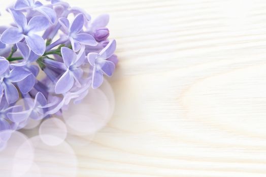 Beautiful floral blank for design - a border of lilac flowers on a wooden table with copy space for text.