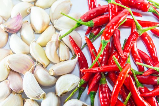 Red hot chilli and garlic  on white background