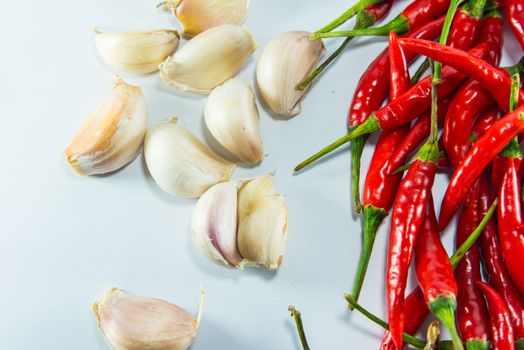 Red hot chilli and garlic  on white background