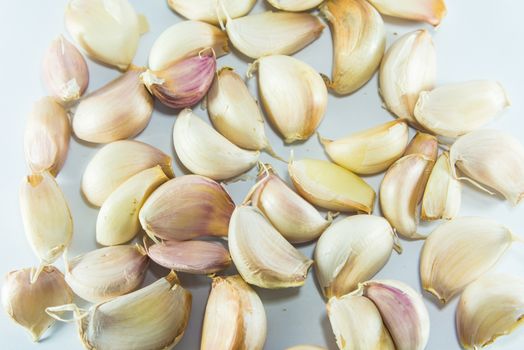 Garlic on white background, Pungent odor spices