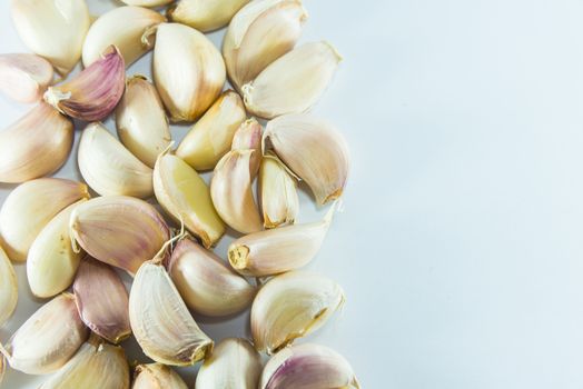 Garlic on white background, Pungent odor spices