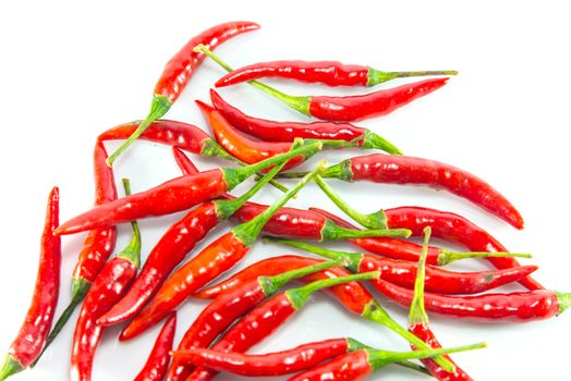 Red hot chilli on white background