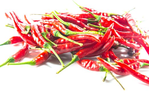 Red hot chilli on white background