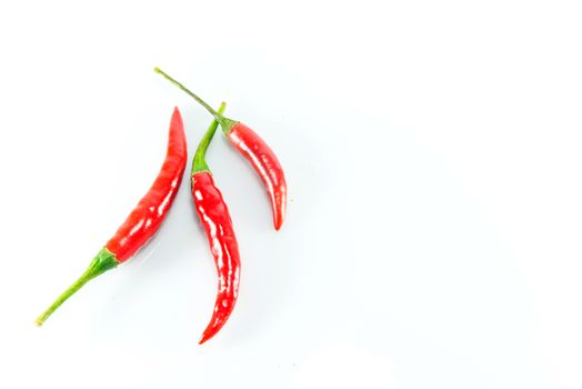 Red hot chilli on white background