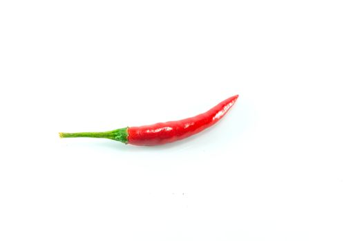 Red hot chilli on white background
