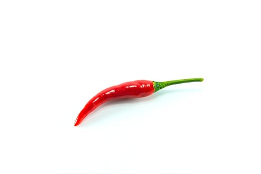 Red hot chilli on white background