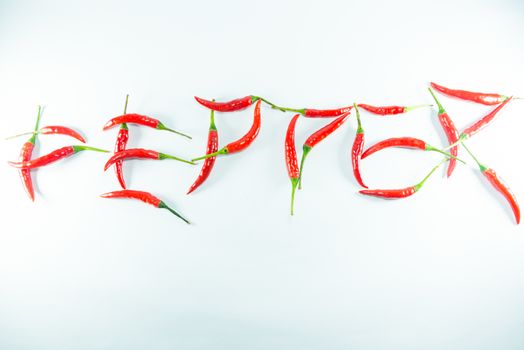 Red hot chilli on white background