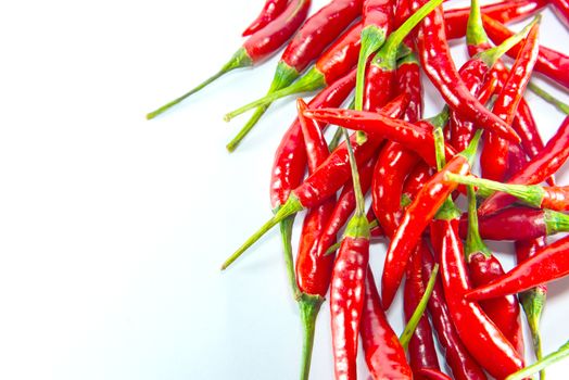 Red hot chilli on white background