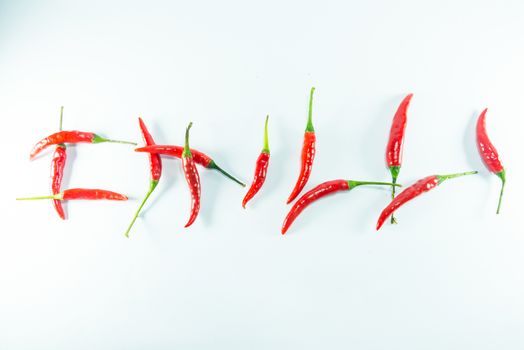 Red hot chilli on white background