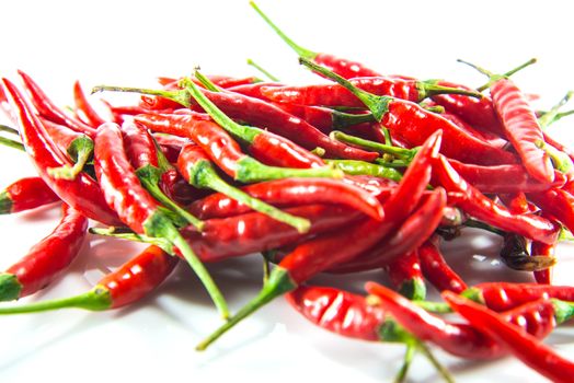 Red hot chilli on white background