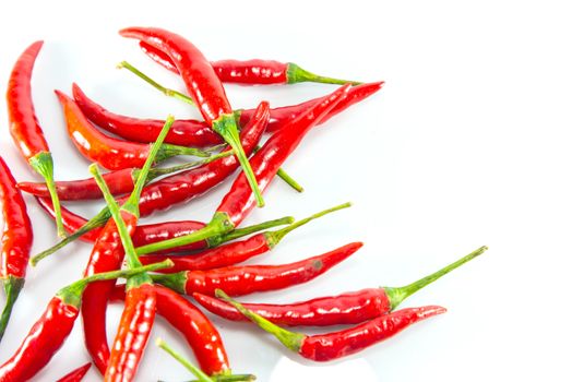 Red hot chilli on white background