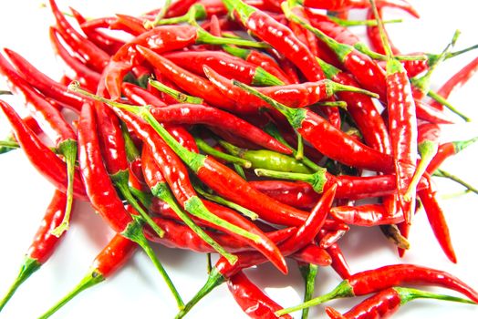 Red hot chilli on white background