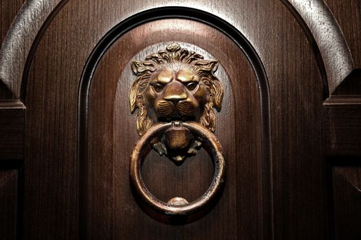 Door handle, lion head