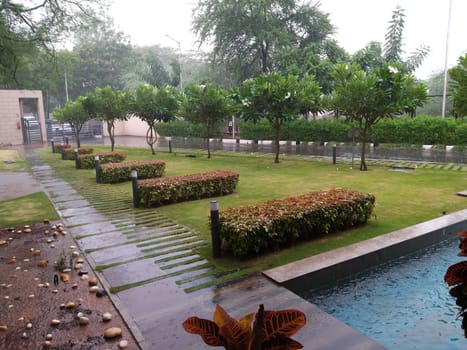 view of an outdoor park in summer