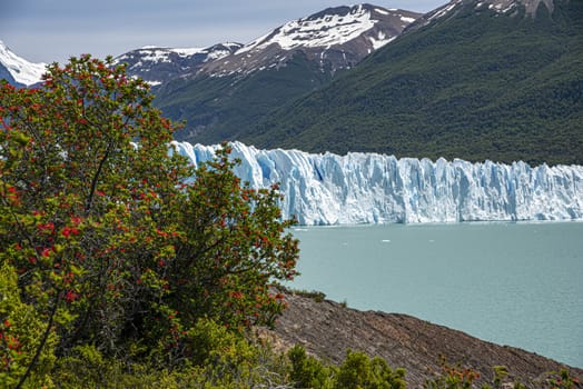 The Perito Moreno Glacier, El Calafate, Argentina