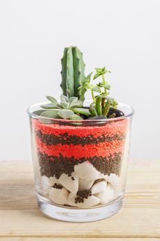 Close-up of a succulent plants arrangement in a glass pot on wood table.