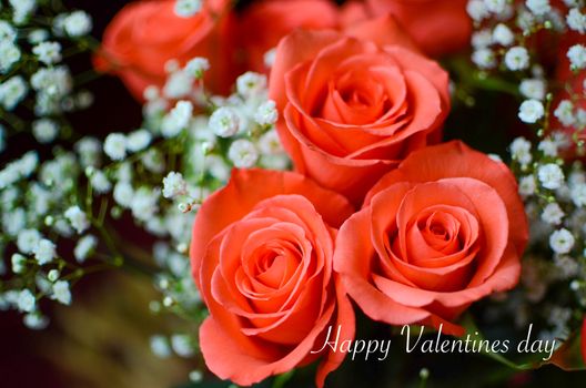 Valentines day concept of a close up view of a bunch of red roses with Happy Valentines day text