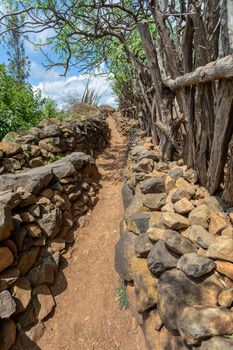 Narrow pathway in Konso, walled village tribes Konso. Africa, Ethiopia. Konso villages are listed as UNESCO World Heritage sites.