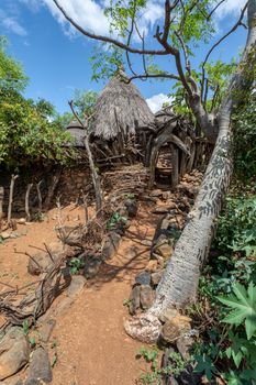 Fantastic walled village tribes Konso. African village. Africa, Ethiopia. Konso villages are listed as UNESCO World Heritage sites.