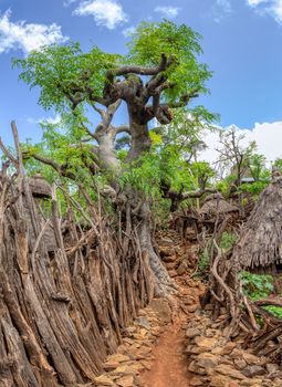 Fantastic walled village tribes Konso. African village. Africa, Ethiopia. Konso villages are listed as UNESCO World Heritage sites.