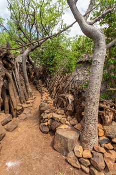 Narrow pathway in Konso, walled village tribes Konso. Africa, Ethiopia. Konso villages are listed as UNESCO World Heritage sites.