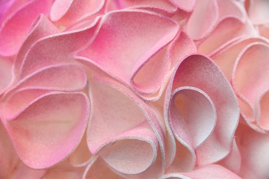 Pink background, fragment of a large decorative flower