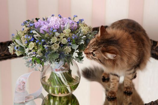 Cat sniffs the bouquet of flowers