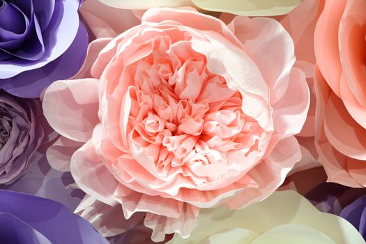 Floral background big peony