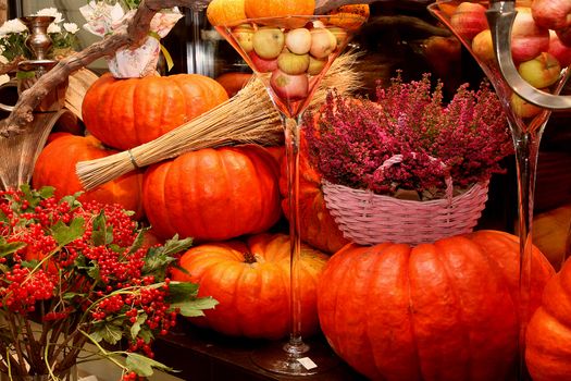 Colorful autumn decoration with pumpkin