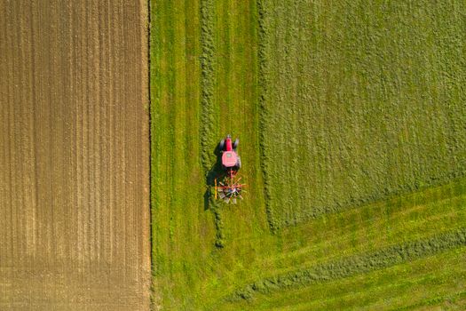 Red tractor windrowing hay, top down aerial view, agriculture and farming
