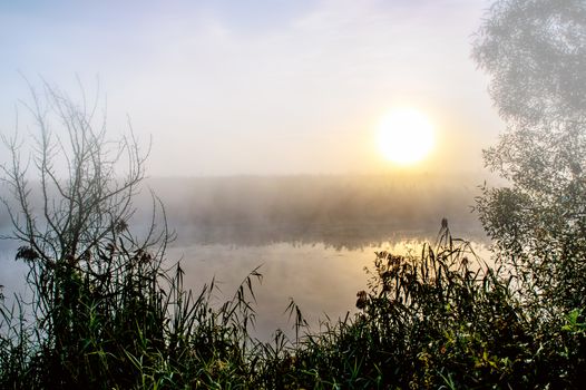 Dramatic mystical twilight landscape with rising sun, tree, reed and fog over water