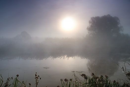 Dramatic mystical twilight landscape with rising sun, tree, reed and fog over water