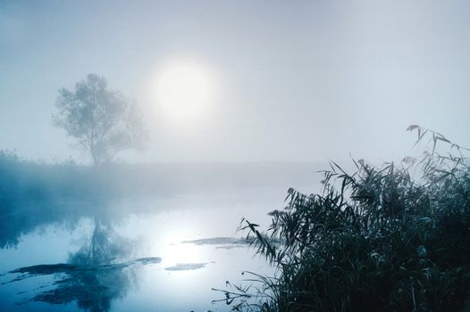 Dramatic mystical twilight landscape with rising sun, tree, reed and fog over water