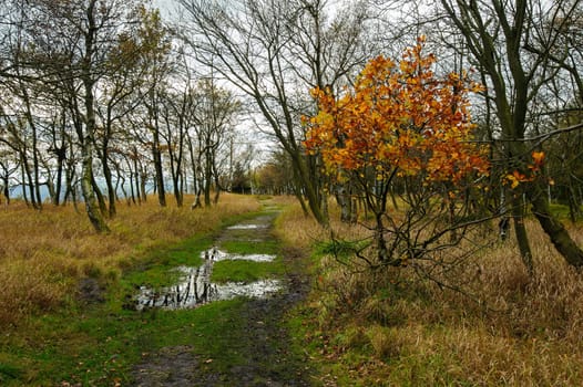 Autumn landscape - rocks, forests - all beautifully colored