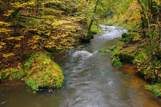 A beautifully clean river flowing through a colorful autumn forest