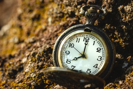 Vintage old pocket watch placed on the rock in forest and morning sunlight. At 8 o’clock. Closeup and copy space.