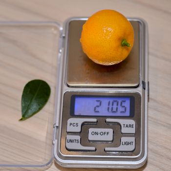 Bright orange calamondine fruit on electronic scales.