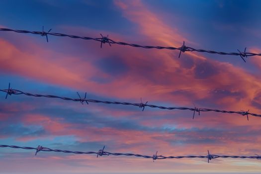 Strands of barbed wire against blue sky