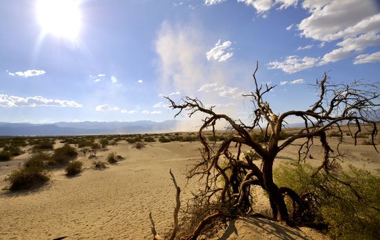 A sandstorm in Death Valley National Park.